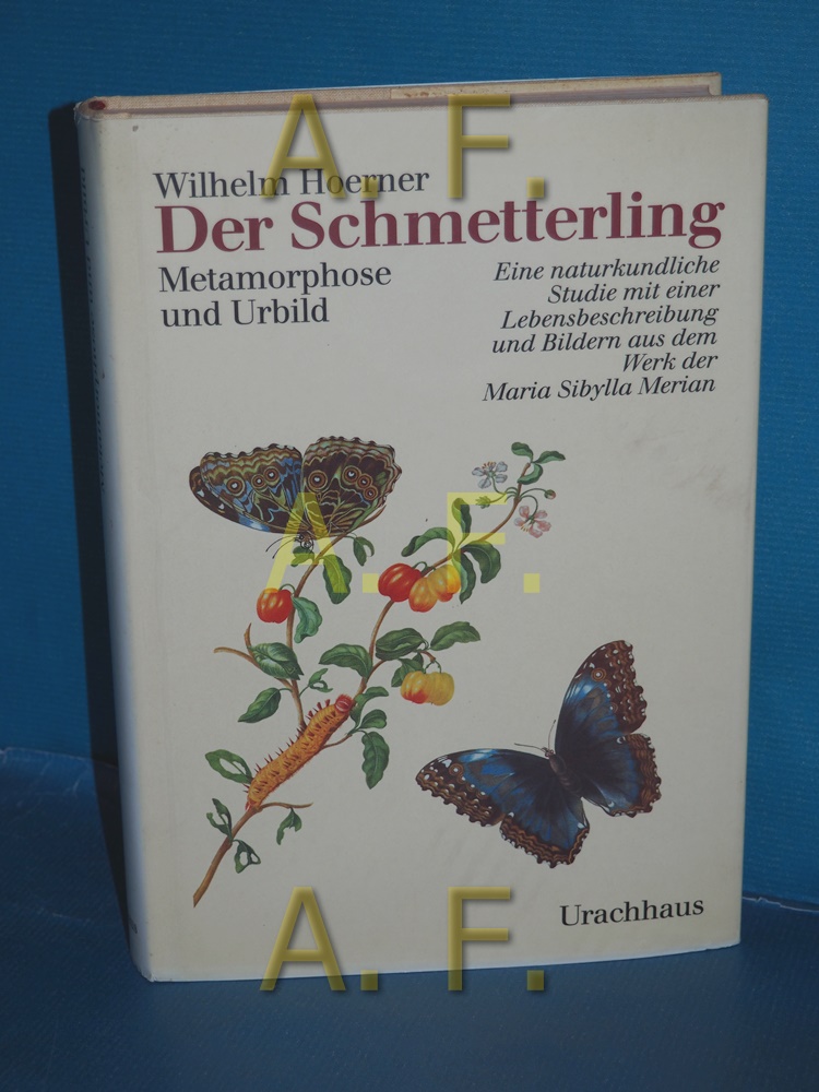 Der Schmetterling : Metamorphose und Urbild , eine naturkundliche Studie mit einer Lebensbeschreibung und Bildern aus dem Werk der Maria Sibylla Merian - Hoerner, Wilhelm