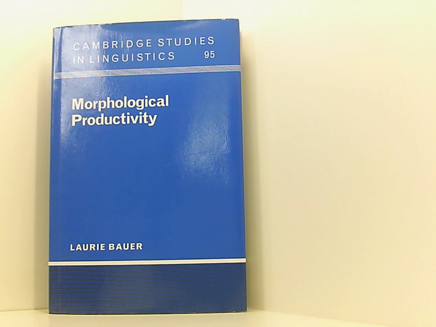 Morphological Productivity (Cambridge Studies in Linguistics, Band 95) - Bauer, Laurie