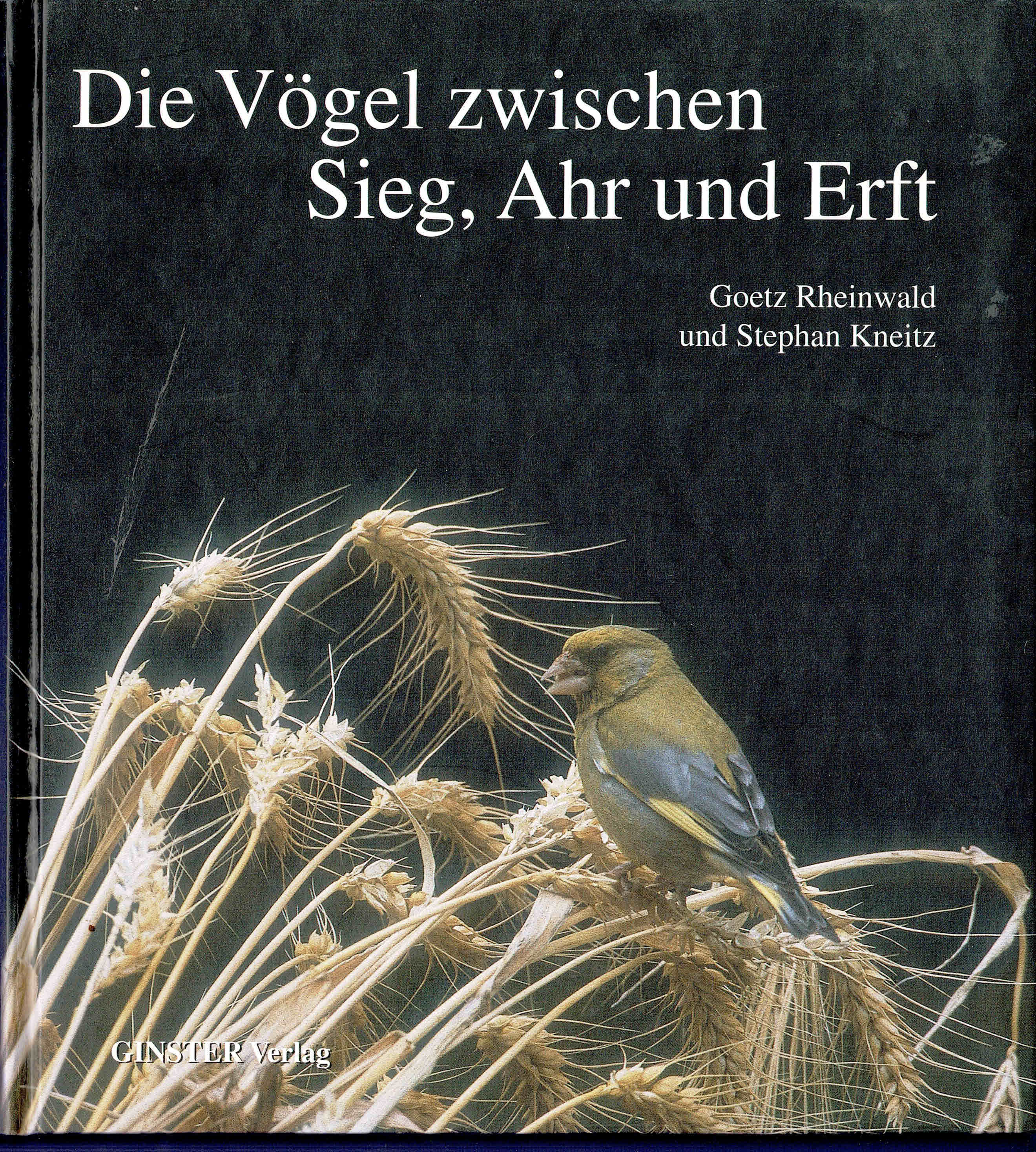 Die Vögel zwischen Sieg, Ahr und Erft - Rheinwald, Goetz / Kneitz, Stephan