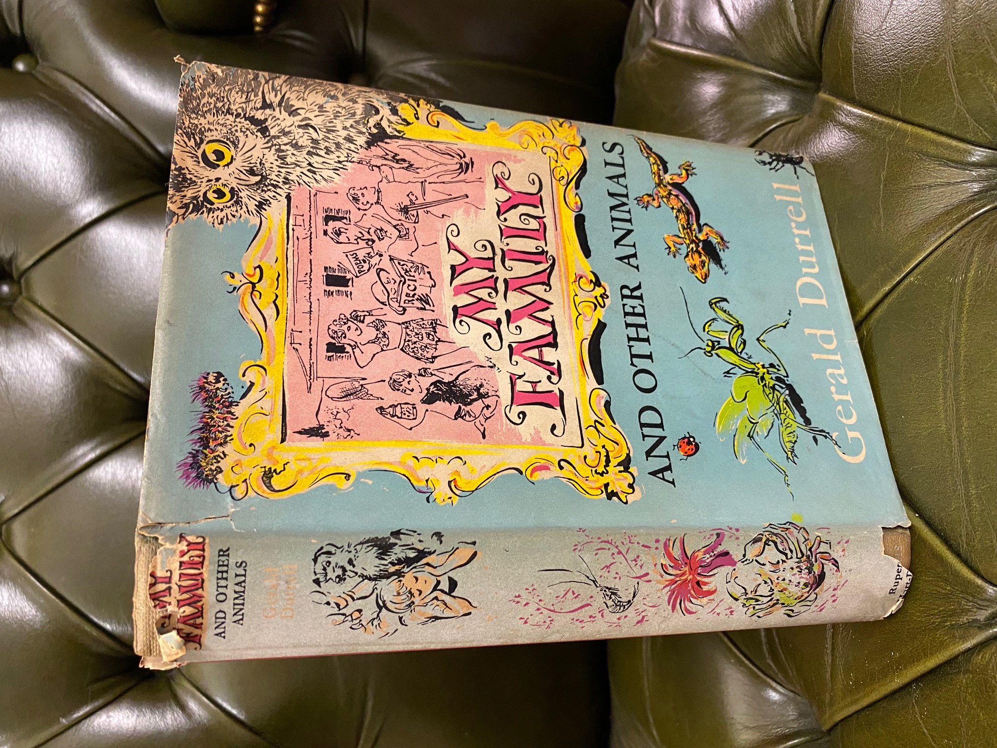 My Family and Other Animals by Durrell, Gerald Very Good Hardcover (1956) 1st Edition Kerr