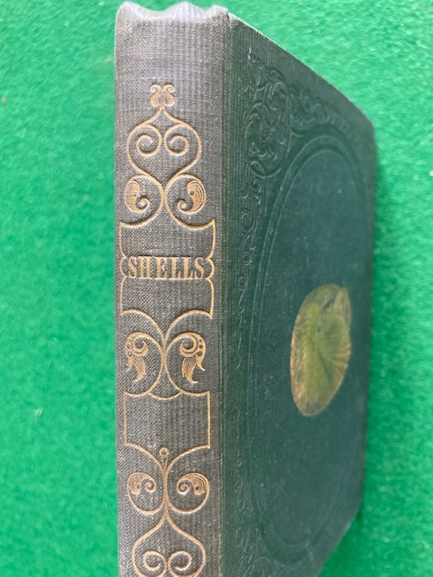 Shells and Their Inmates: Very Good Hardcover (1841) 1st Edition ...