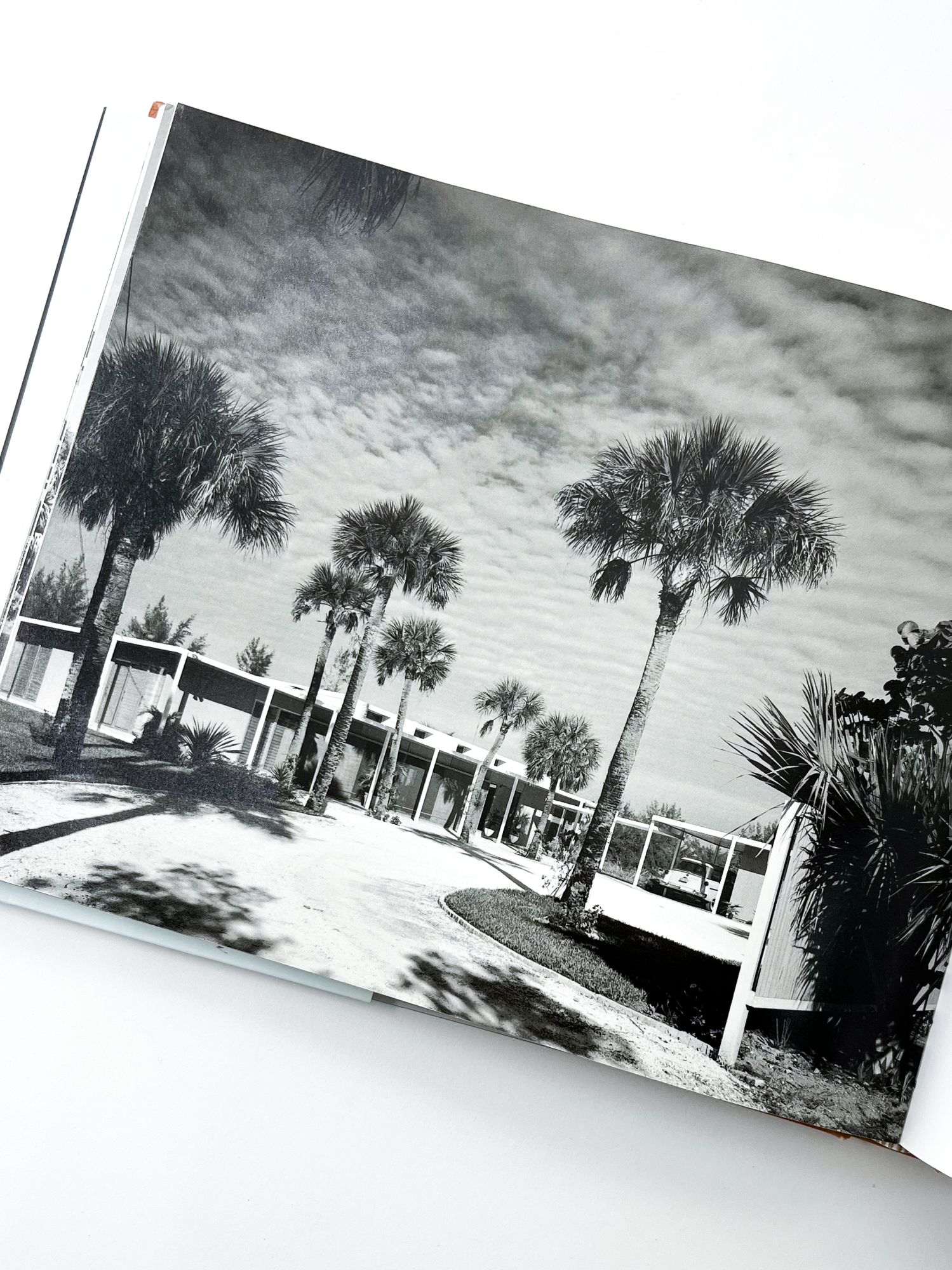 PAUL RUDOLPH: THE FLORIDA HOUSES by Domin, Christopher; King
