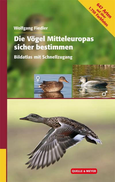 Die Vögel Mitteleuropas sicher bestimmen: Bildatlas mit Schnellzugang - Wolfgang Fiedler