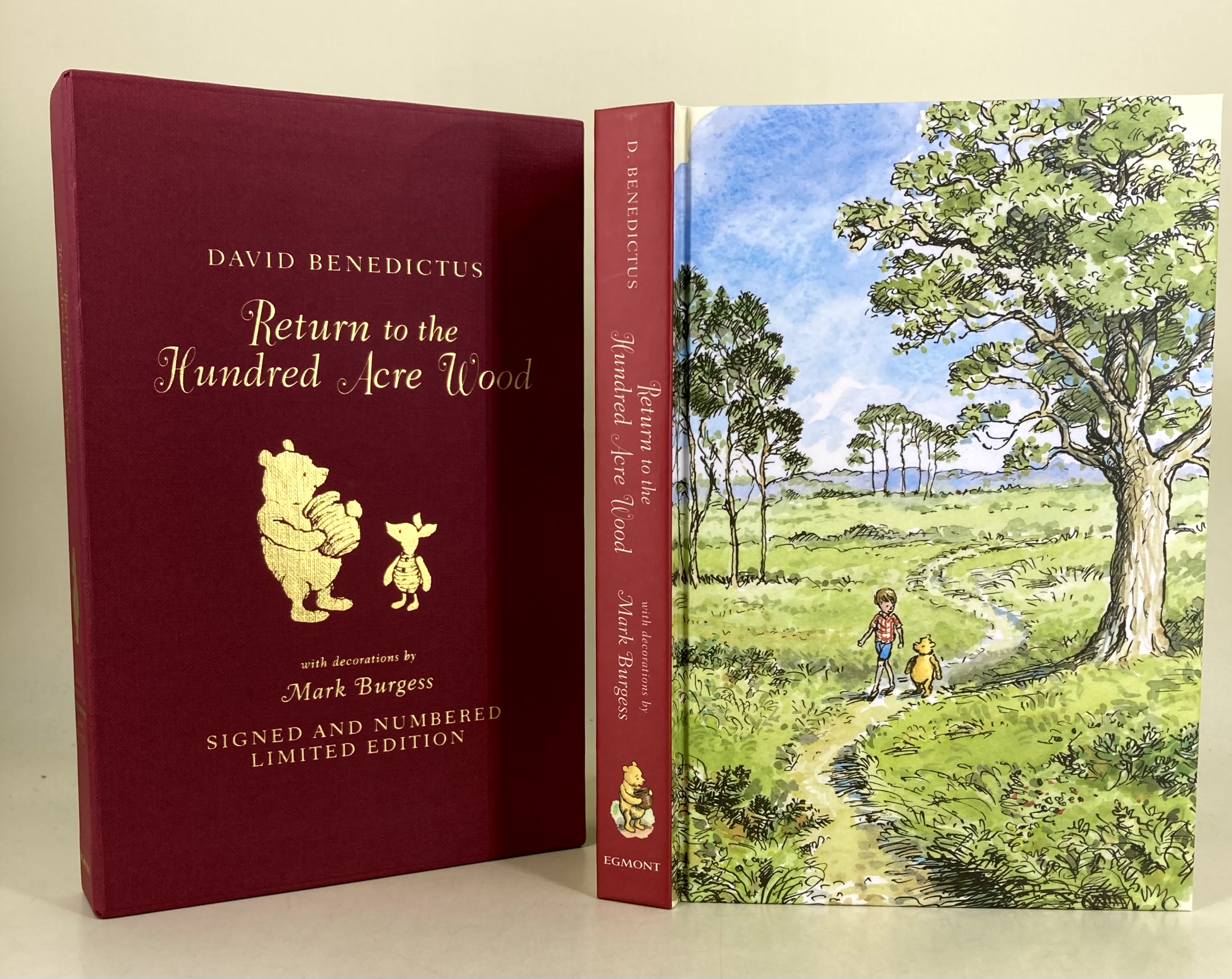 Extract From Return To The Hundred Acre Wood, By David Benedictus – IAZDR