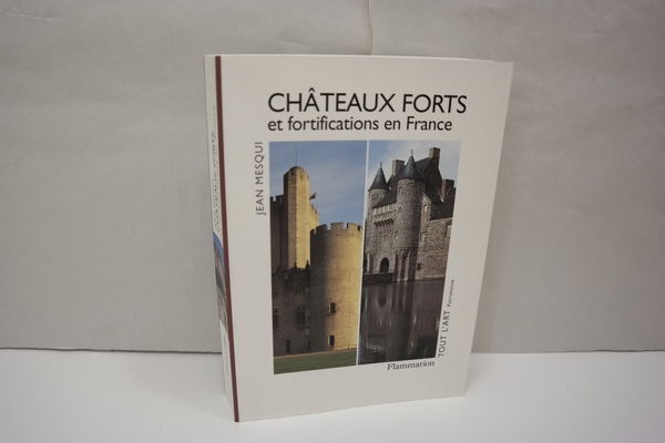 Chateaux-forts et fortifications en France - Mesqui, Jean