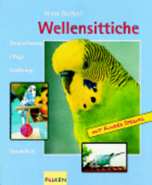 Wellensittiche - Bielfeld, Horst