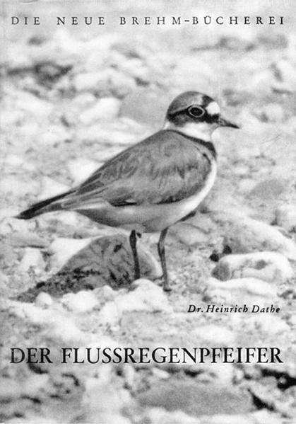Der Flußregenpfeifer (Die Neue Brehm-Bücherei / Zoologische, botanische und paläontologische Monografien) - Dathe, Heinrich