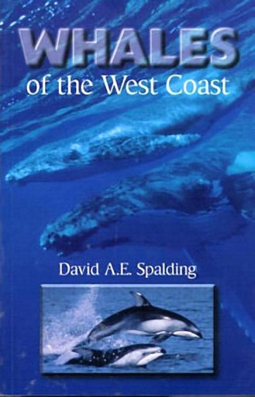 Whales of the West Coast (Paperback) - David A.E. Spalding