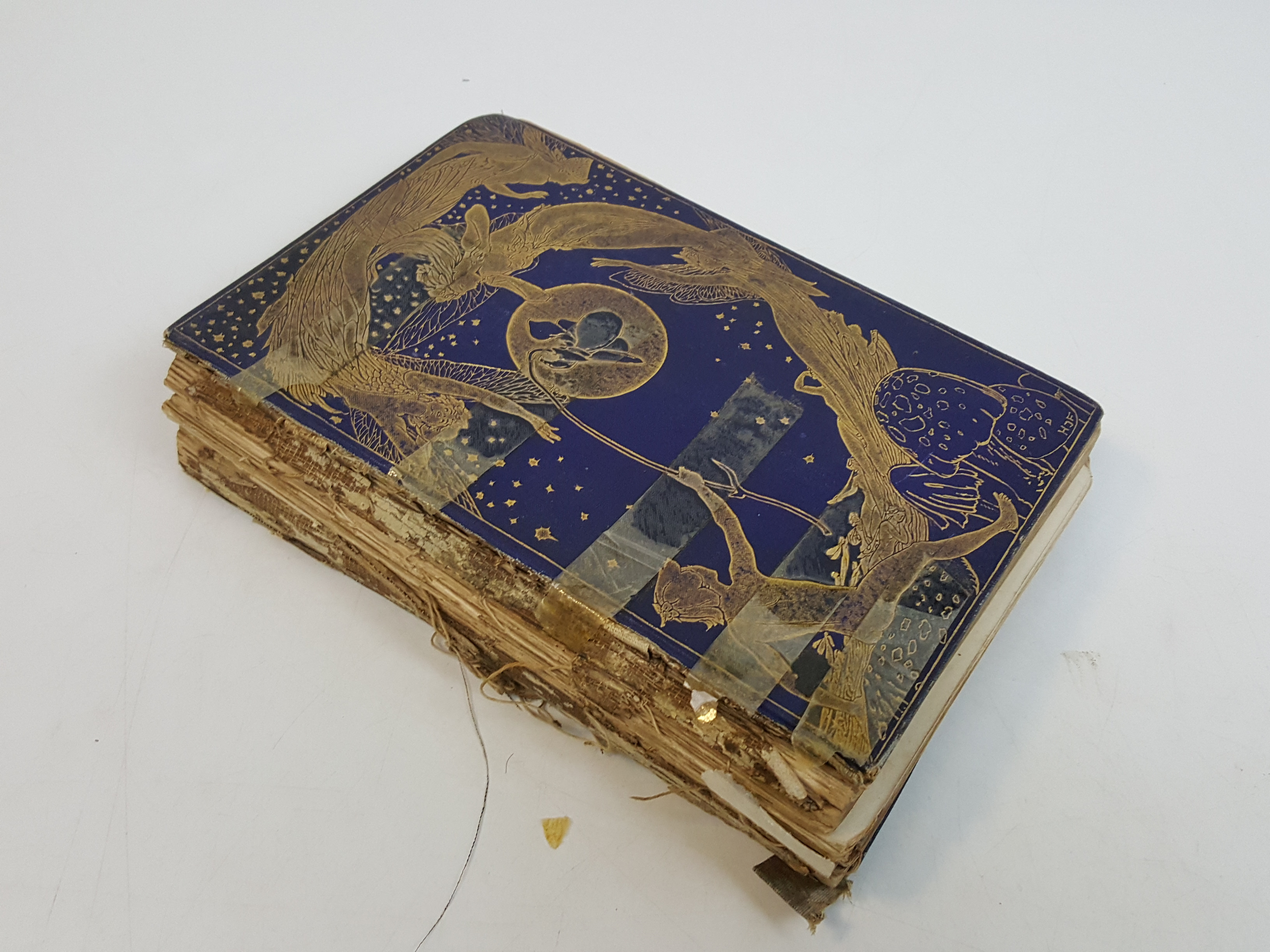 The Violet Fairy Book [Collection of plates] Lang, Andrew [editor], [ ] [Hardcover]