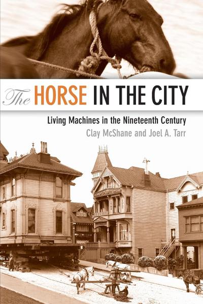 The Horse in the City : Living Machines in the Nineteenth Century - Clay Mcshane