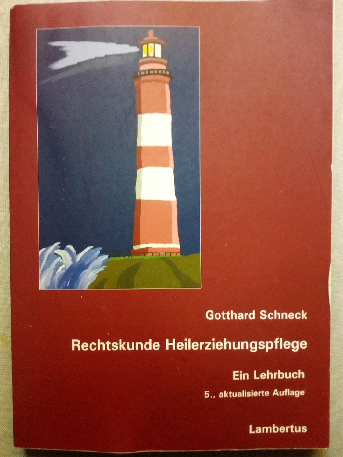 Rechtskunde Heilerziehungspflege - Schneck, Gotthard