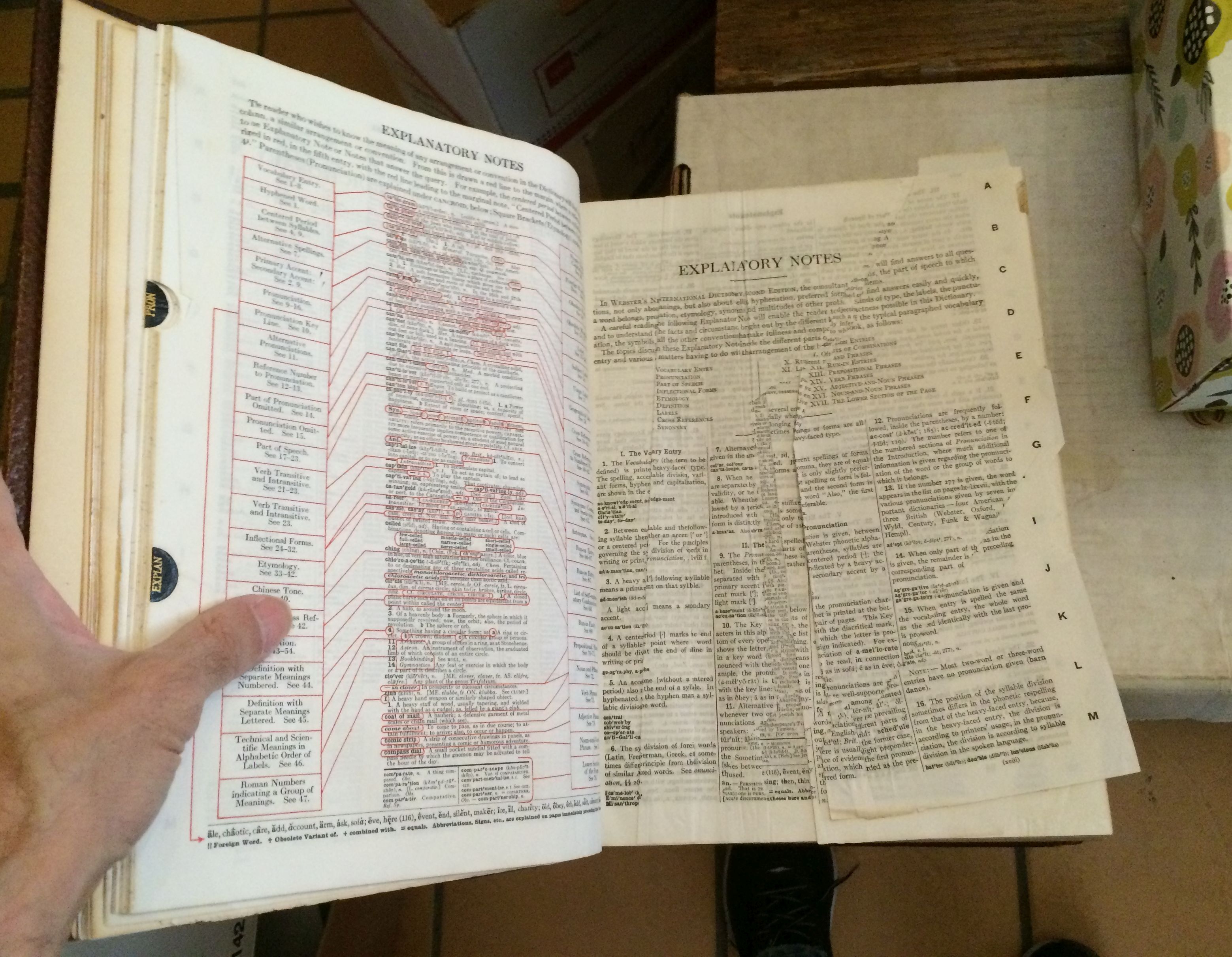 Webster's New International Dictionary of the English Webster's New International Dictionary of the English