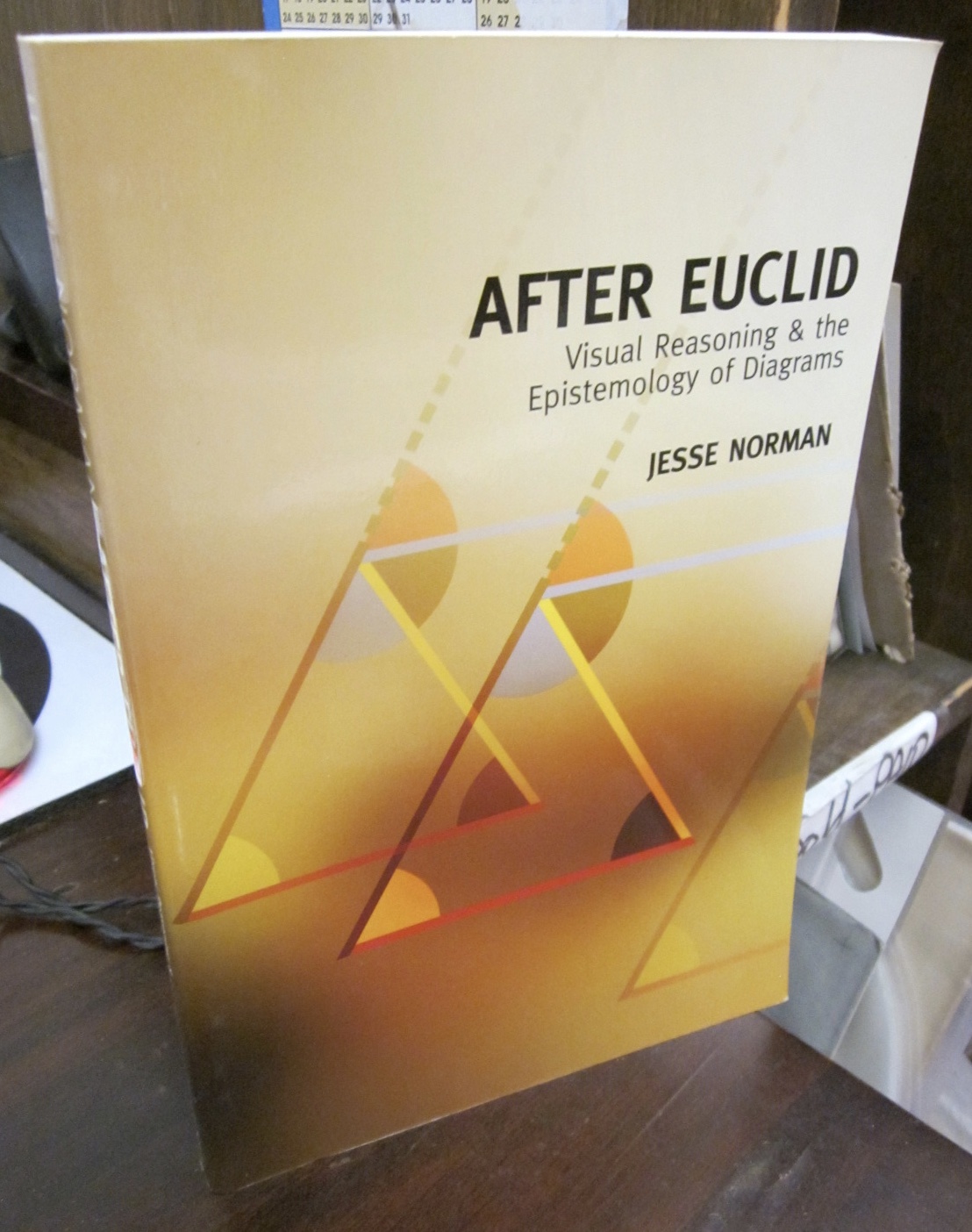 After Euclid Visual Reasoning and the Epistemology of Diagrams by