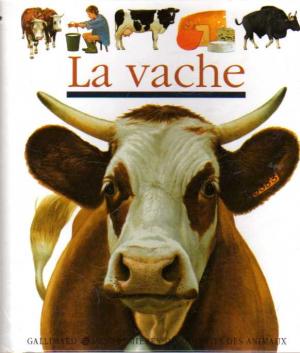 La vache. Mes premieres découvertes des animaux - Prunier, Jame's (ill.)