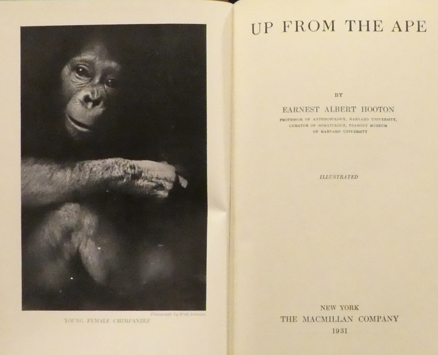 Up From the Ape by Hooton, Earnest Robert: Very Good Hardcover (1931 ...