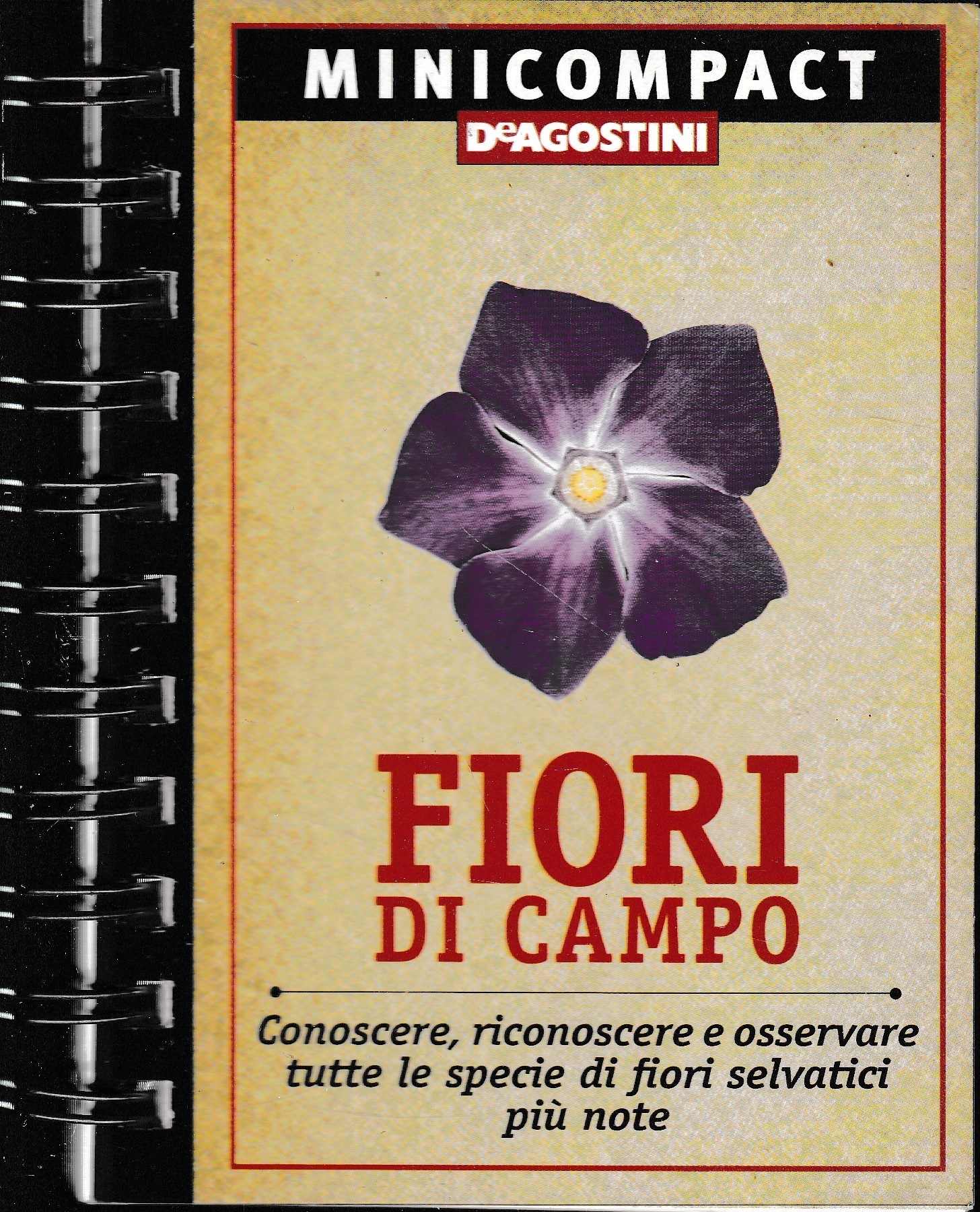 Abebooks Fiori di campo. Conoscere riconoscere e osservare tutte le specie di fiori selvatici più note