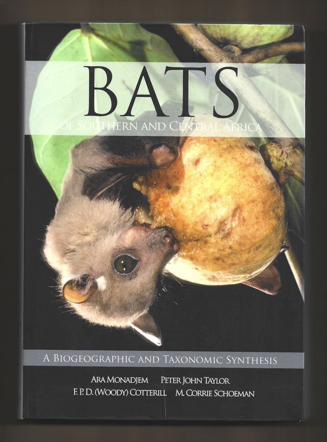 Bats of Southern and Central Africa: A Biogeographic and Taxonomic Synthesis - Ara Monadjem; Peter John Taylor; Woody Cotterill; M. Corrie Schoeman