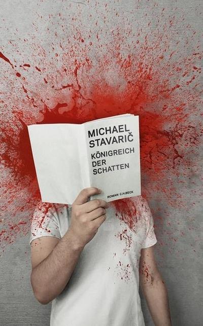 Königreich der Schatten : Roman - Michael Stavaric