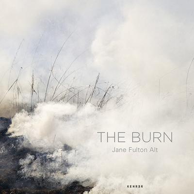 Jane Fulton Alt : The Burn - Deborah Gribbon