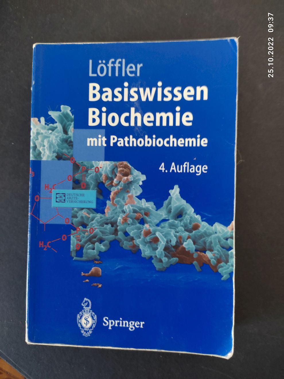 Basiswissen Biochemie : mit Pathobiochemie ; mit 120 Tabellen. Springer-Lehrbuch - Löffler, Georg