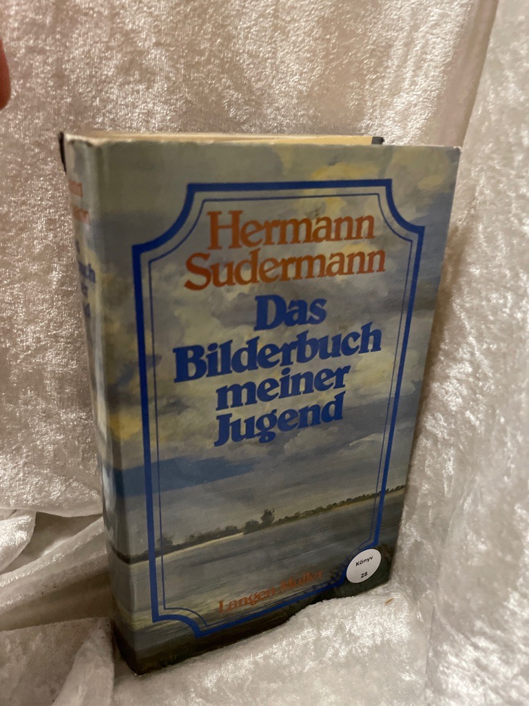 Das Bilderbuch meiner Jugend (Sonderreihe) Mit e. Nachw. von Ernst Osterkamp - Sudermann, Hermann und Ernst Osterkamp