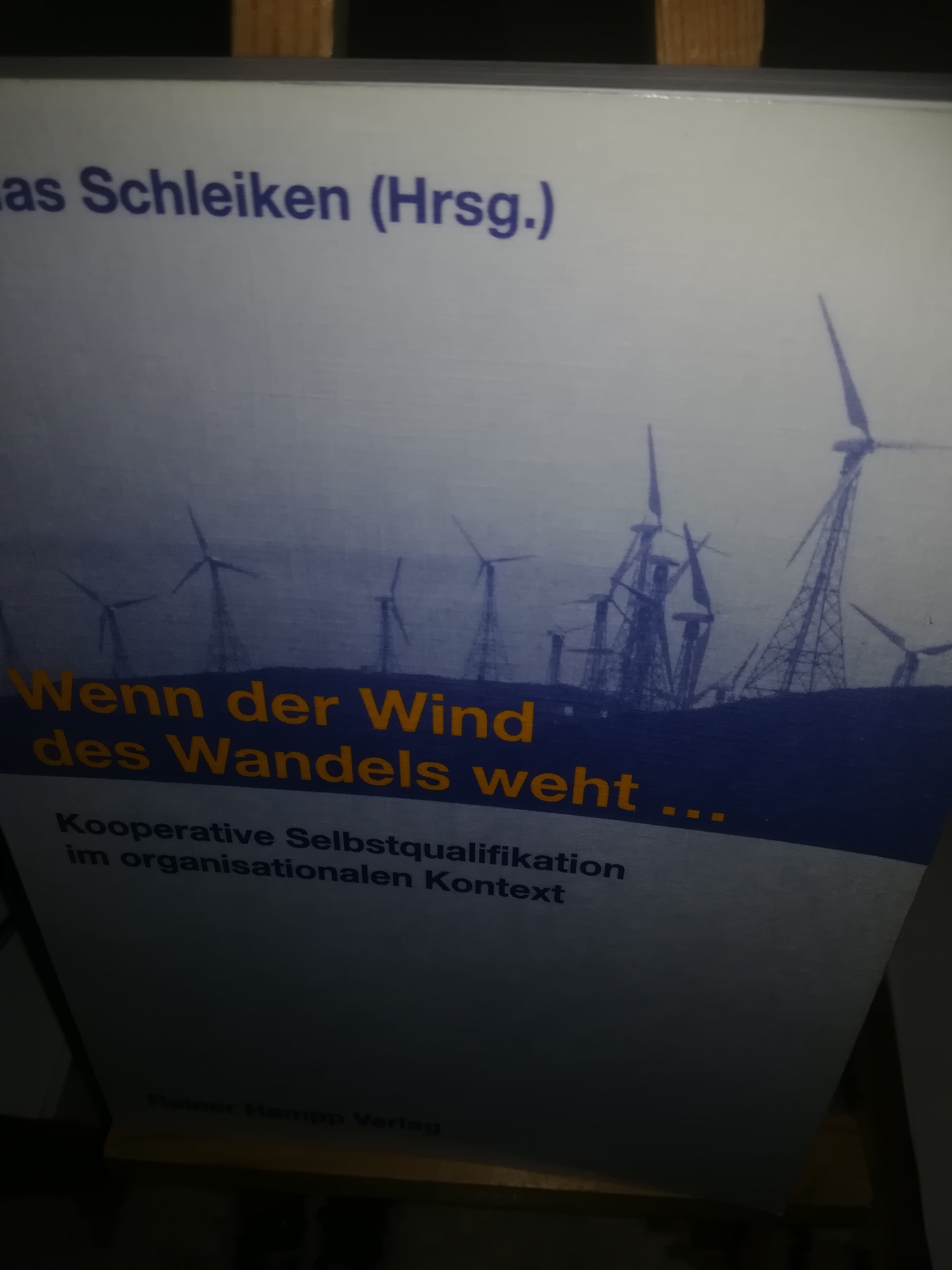 Wenn der Wind des Wandels weht, kooperative Selbstqualifikation im organisierten Kontext - Schleiken Thomas, HRSG