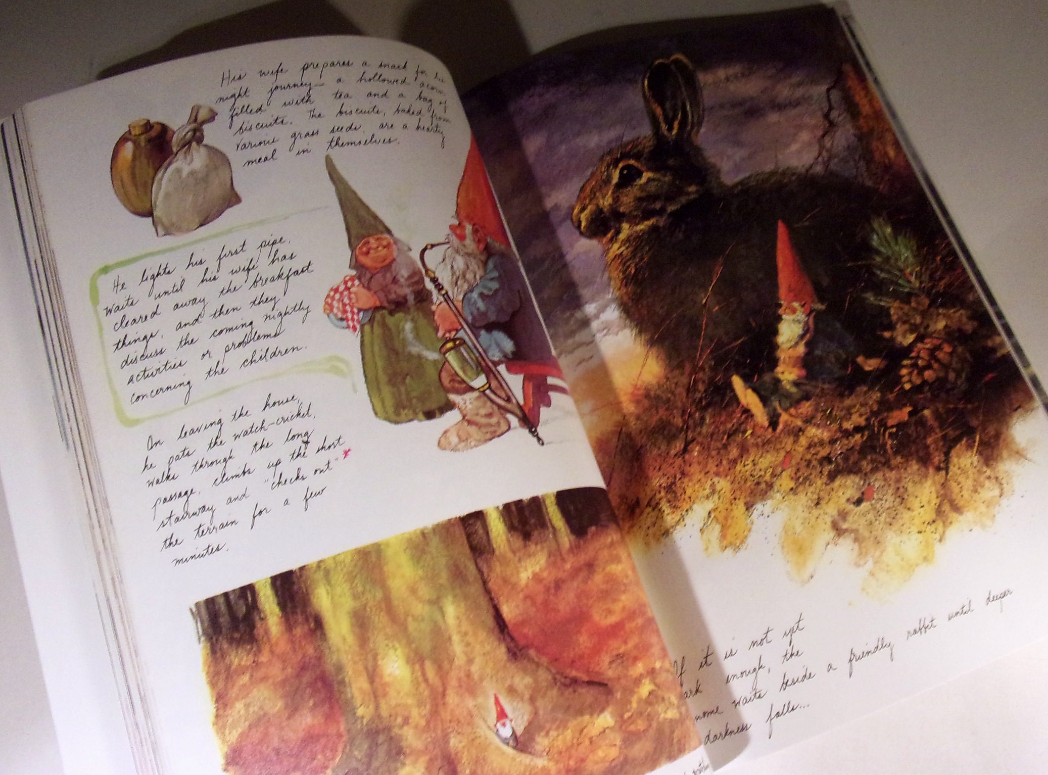 Gnomes by Wil Huygen: Very Good Soft cover (1977) | Wadard