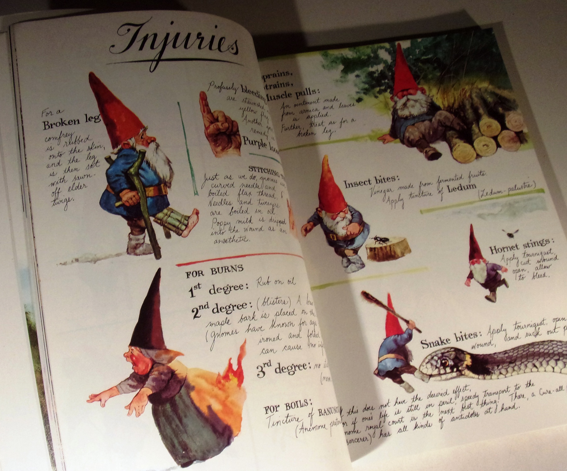 【在庫有】 Soft Good Very Huygen: Wil by Gnomes cover Wadard | (1977) その他