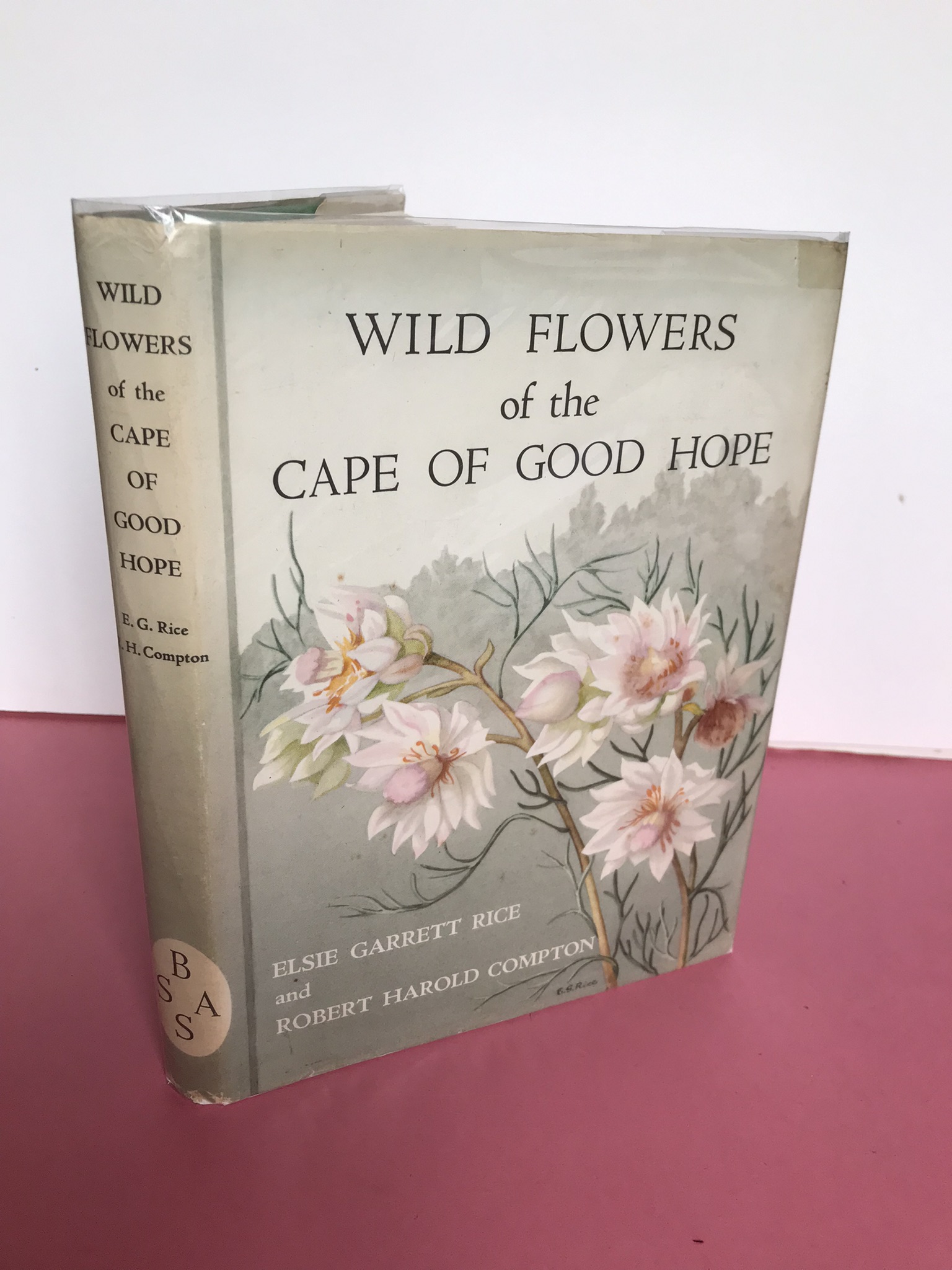 WILD FLOWERS OF THE CAPE OF GOOD HOPE [The Botanical Society of South Africa] Elsie Garrett Rice and Robert Harold Compton [Near Fine] [Hardcover]
