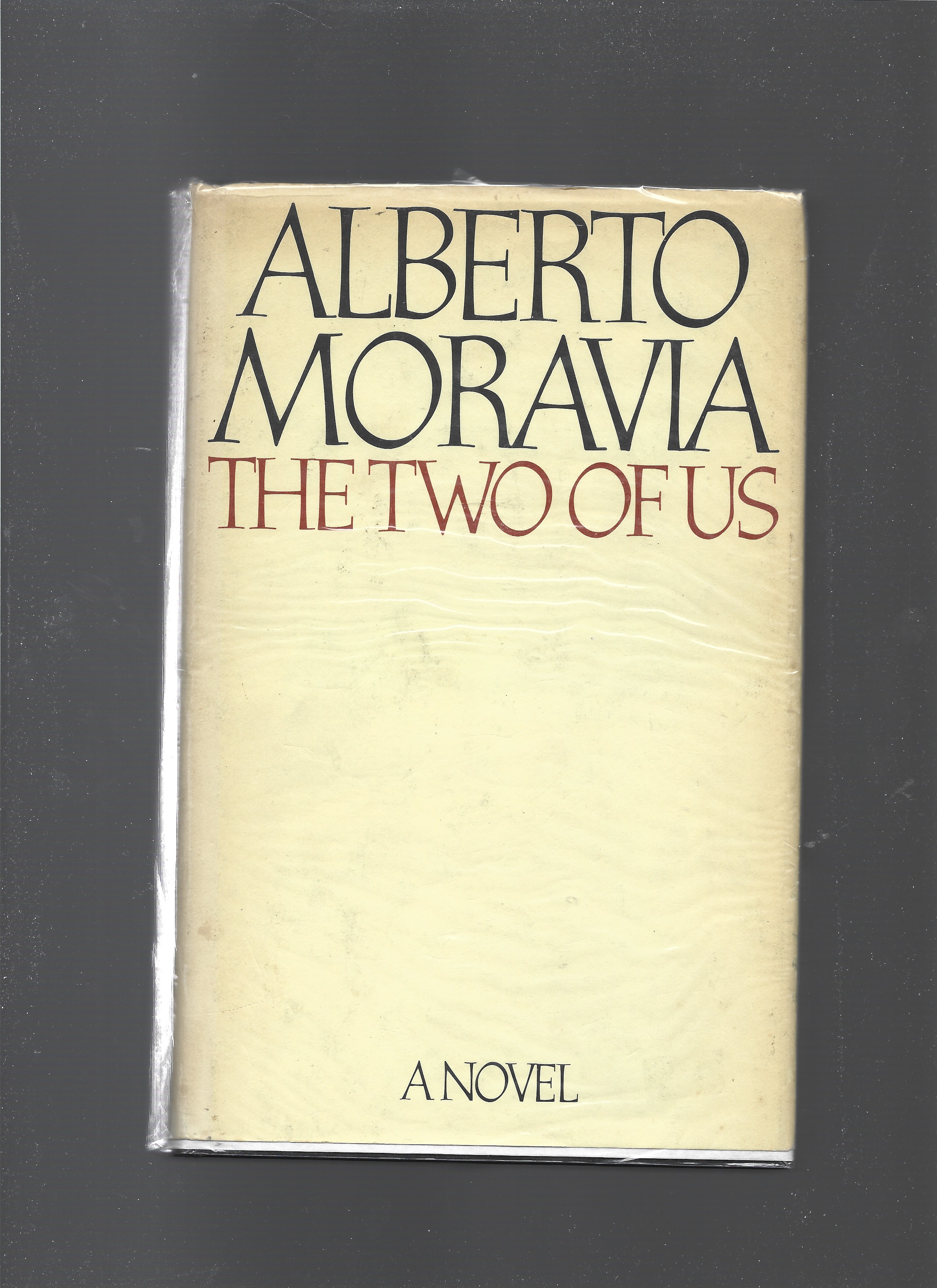 The Two of Us: A Novel