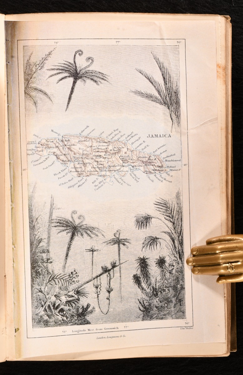 In the Trades, the Tropics, and the Roaring Forties by Lady In the Trades, the Tropics, and the Roaring Forties by Lady