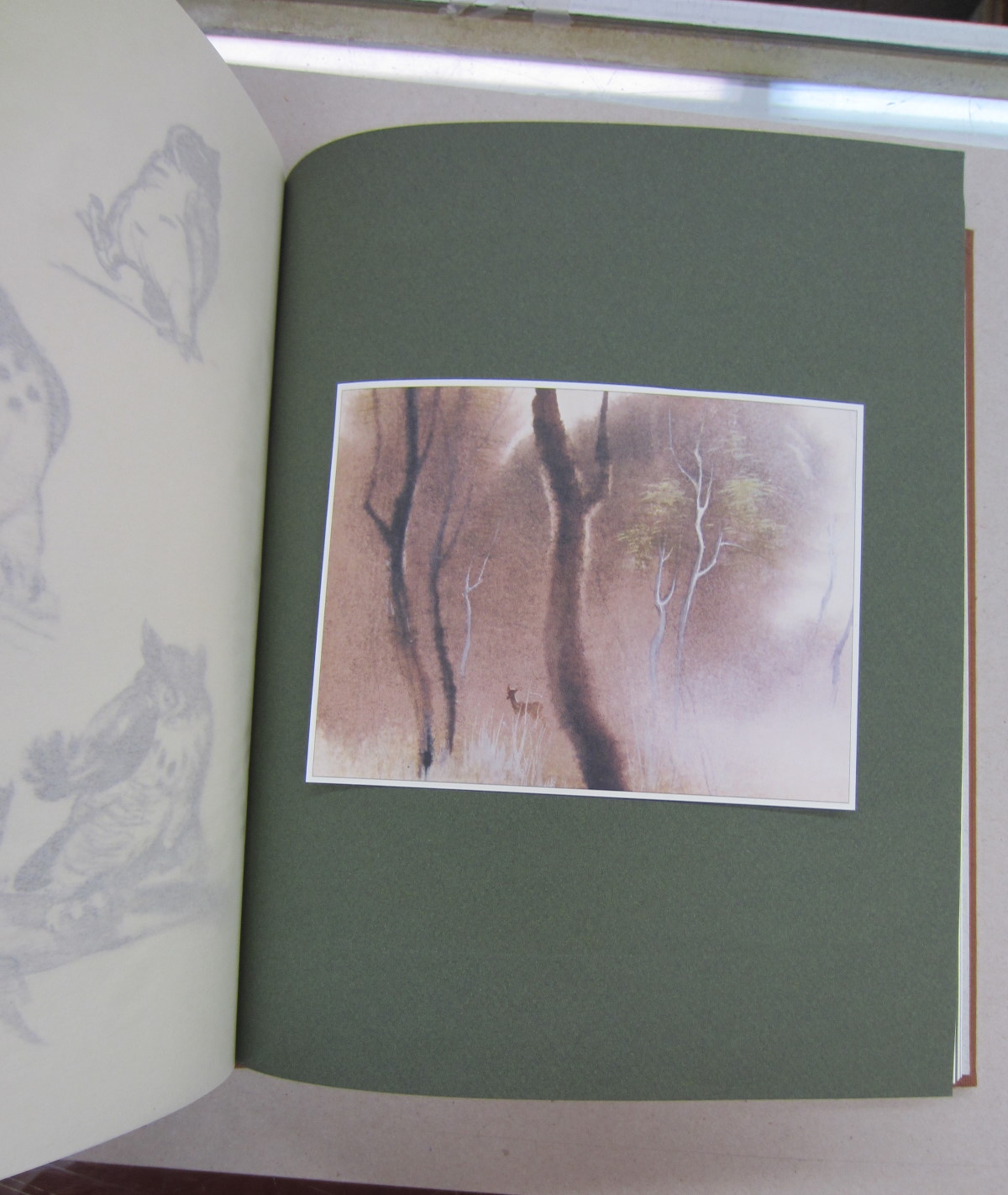 Walt Disney's Bambi: The Sketchbook Series [Book]