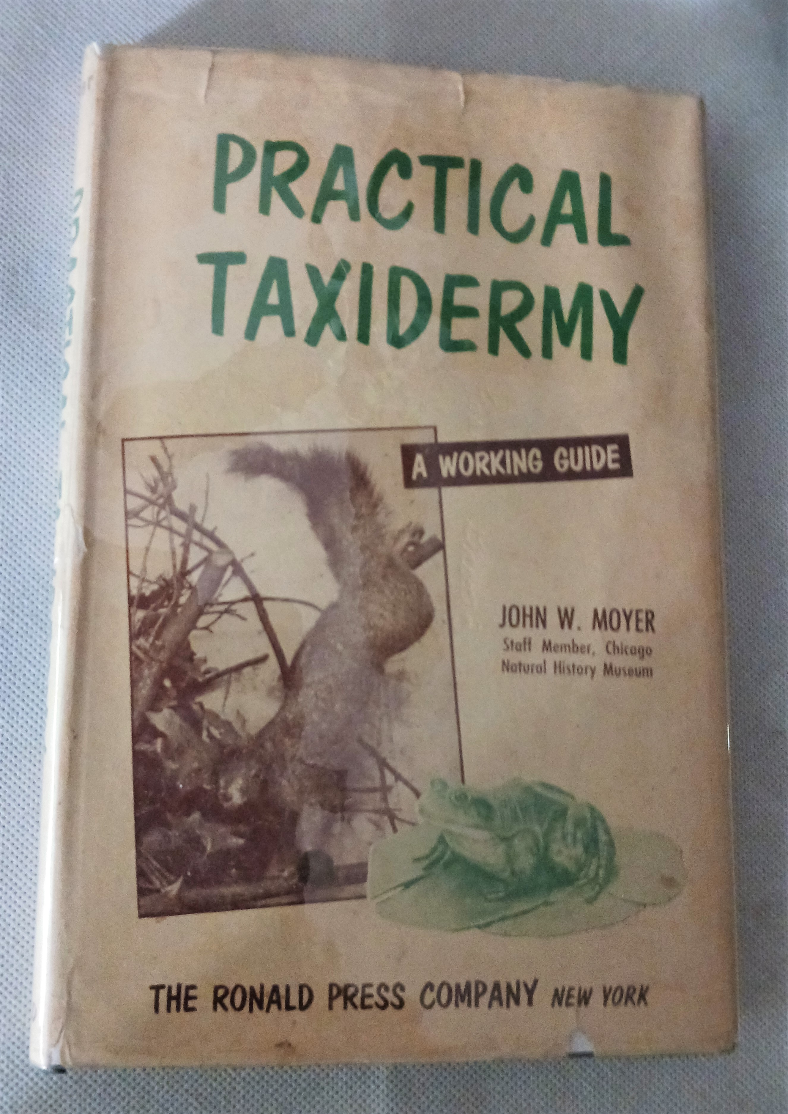 Taxidermy Workshop Manuals