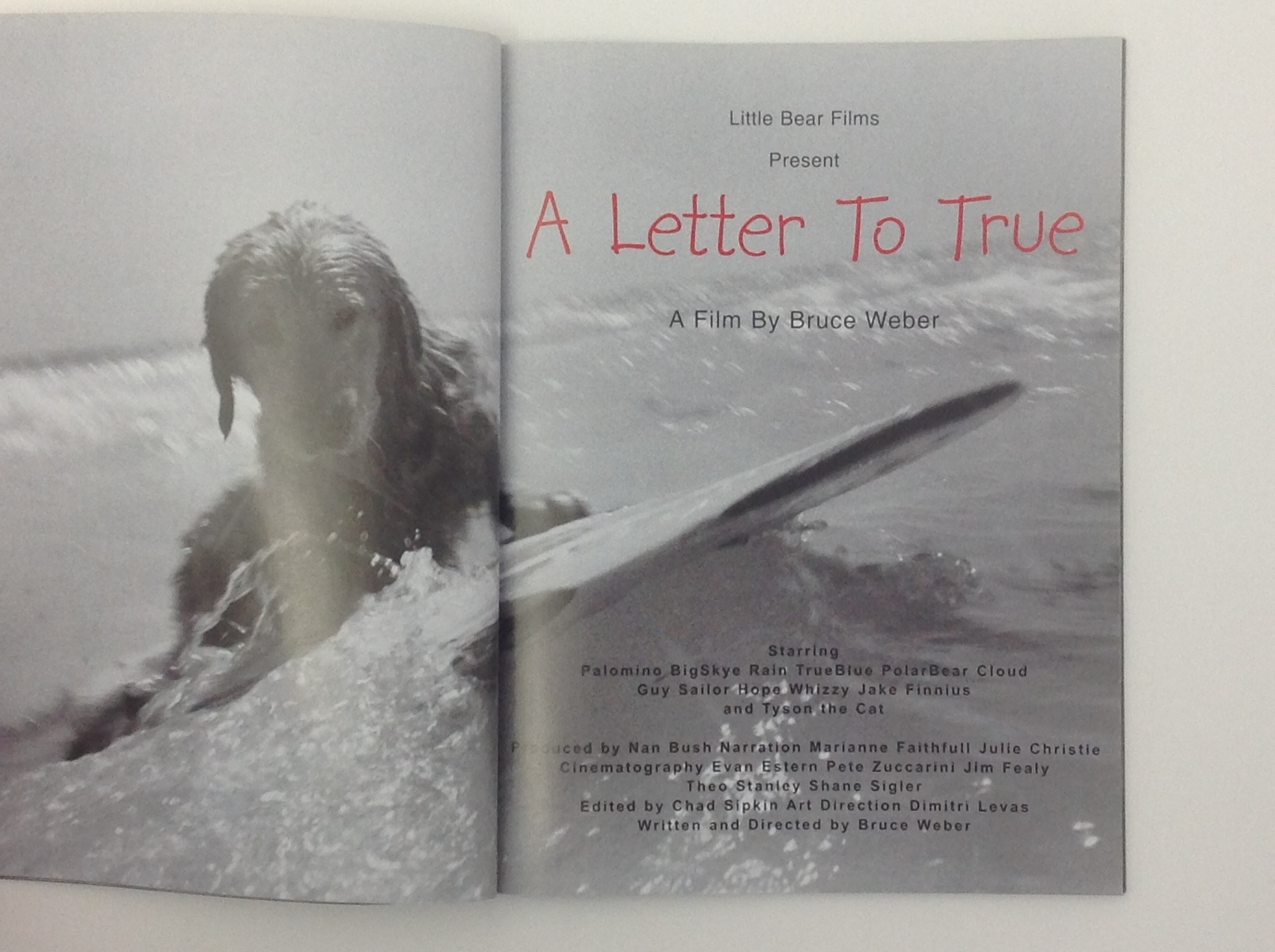 Bruce Weber A Letter to True | eBay
