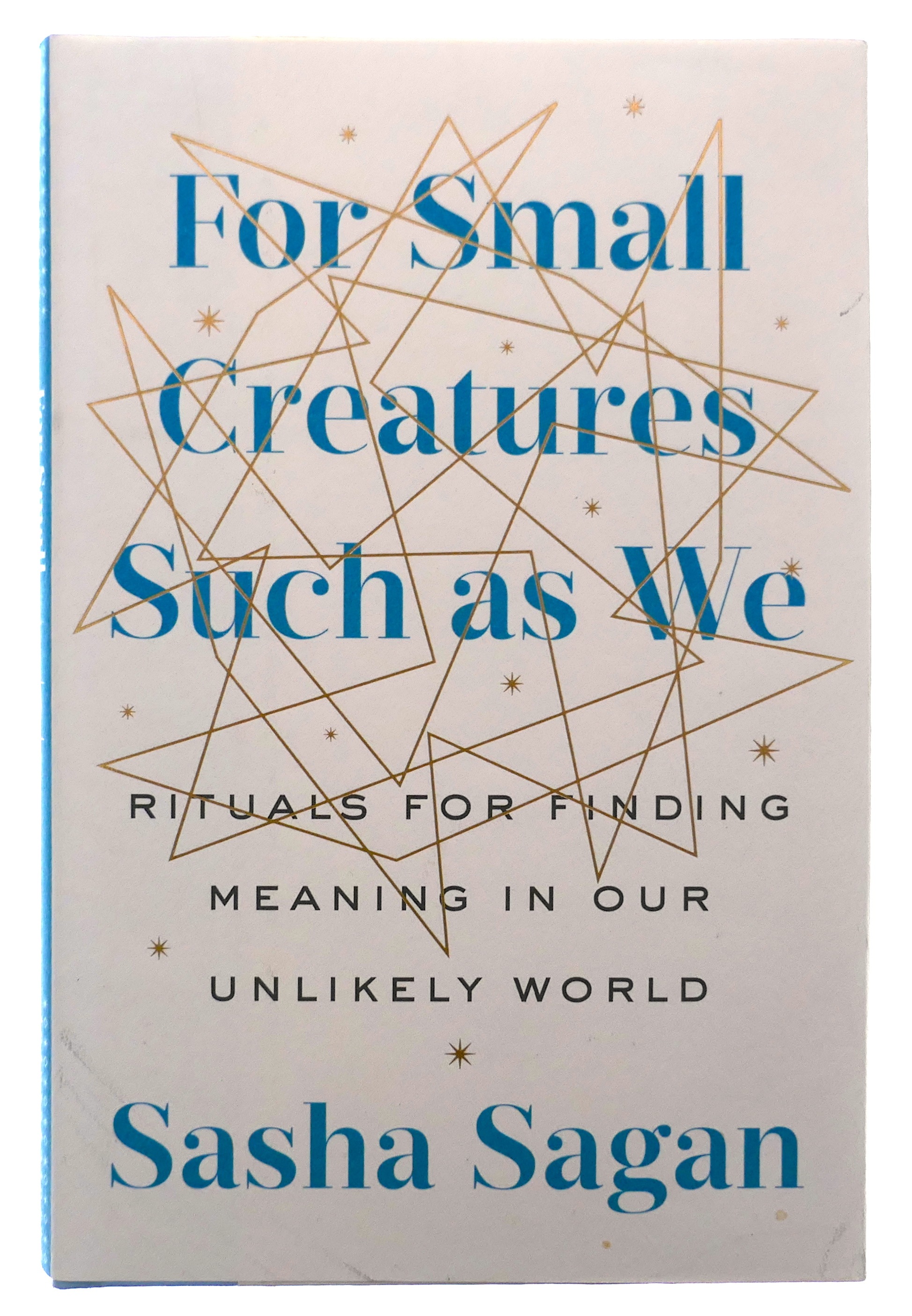 For Small Creatures Such as We: Rituals for Finding Meaning in Our Unlikely  World