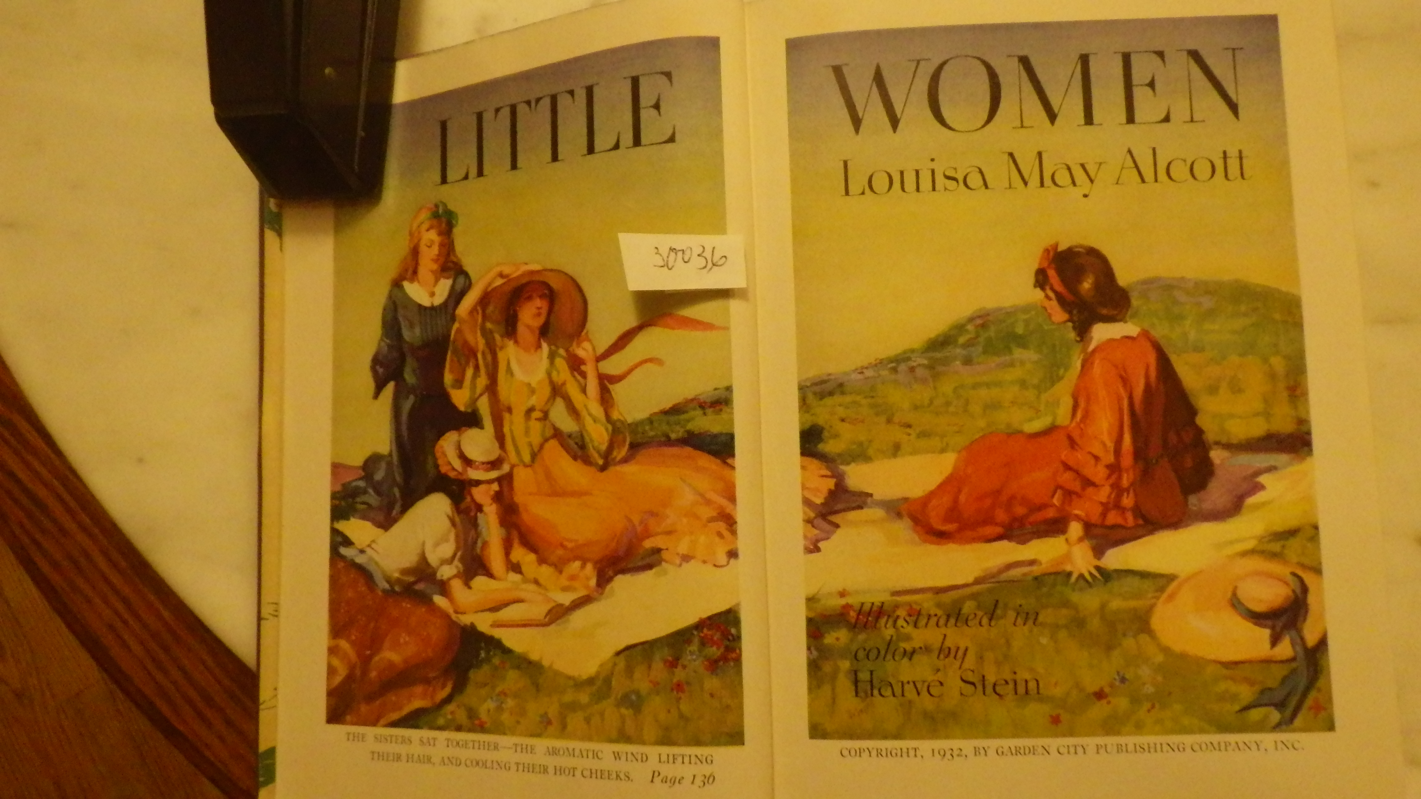LITTLE WOMEN BY LOUISA MAY ALCOTT, ILLUSTRATED IN COLOR HARVE STEIN in ...