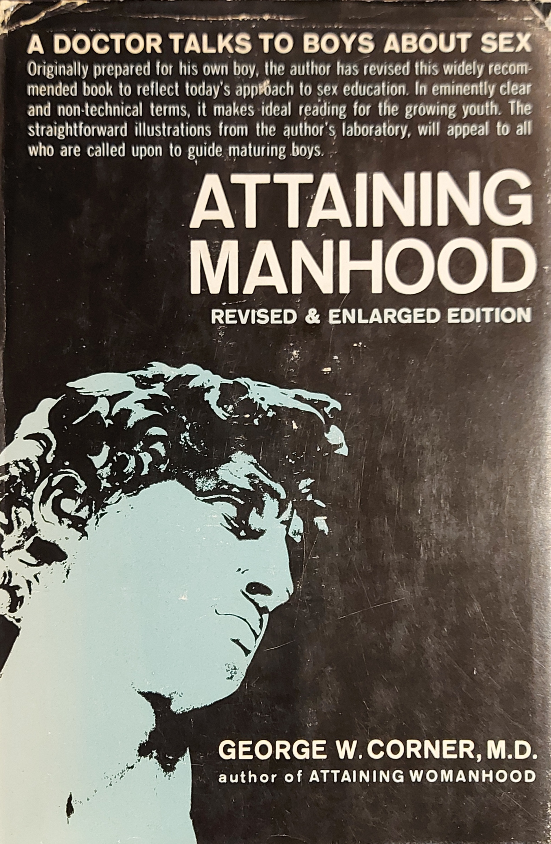 book manhood for amateurs