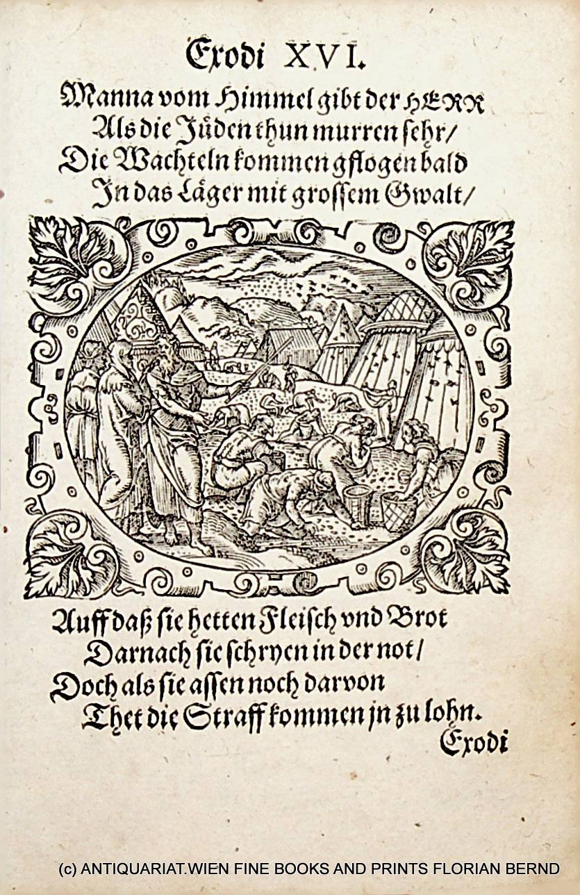 Exodus 16 Manna and Quail: (1571) Art / Print / Poster | ANTIQUARIAT