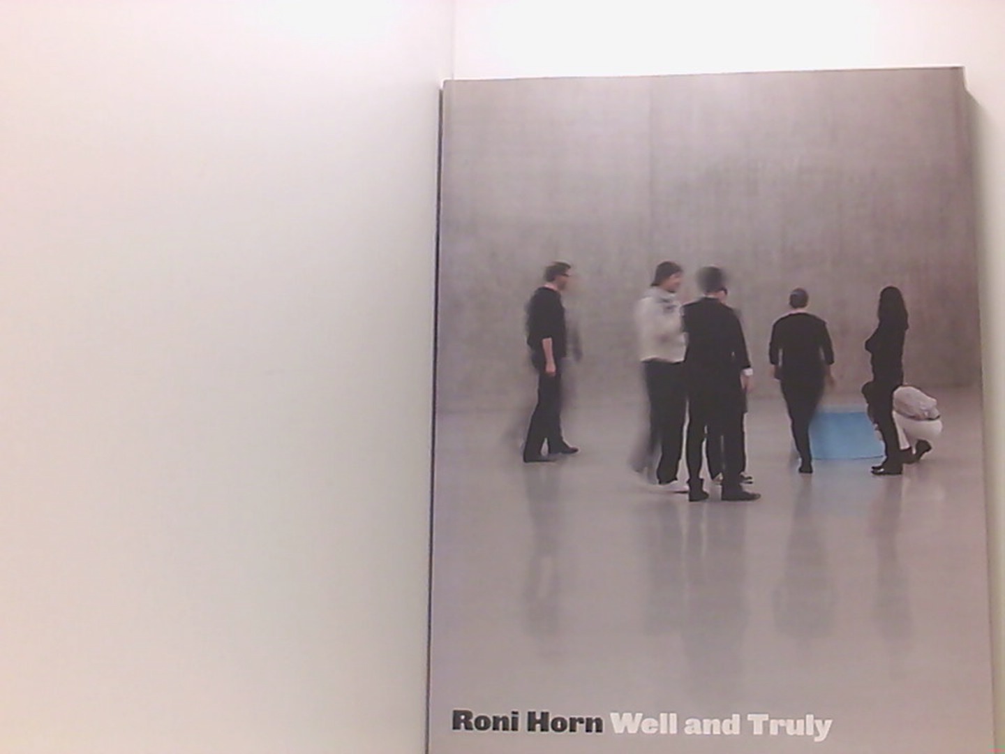 Roni Horn: Well and Truly - Dziewior, Yilmaz, Bregenz Kunsthaus Roni Horn u. a.