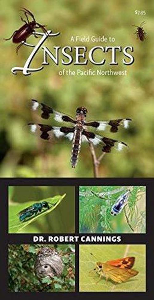 A Field Guide to Insects of the Pacific Northwest (Sticker Books) by Dr