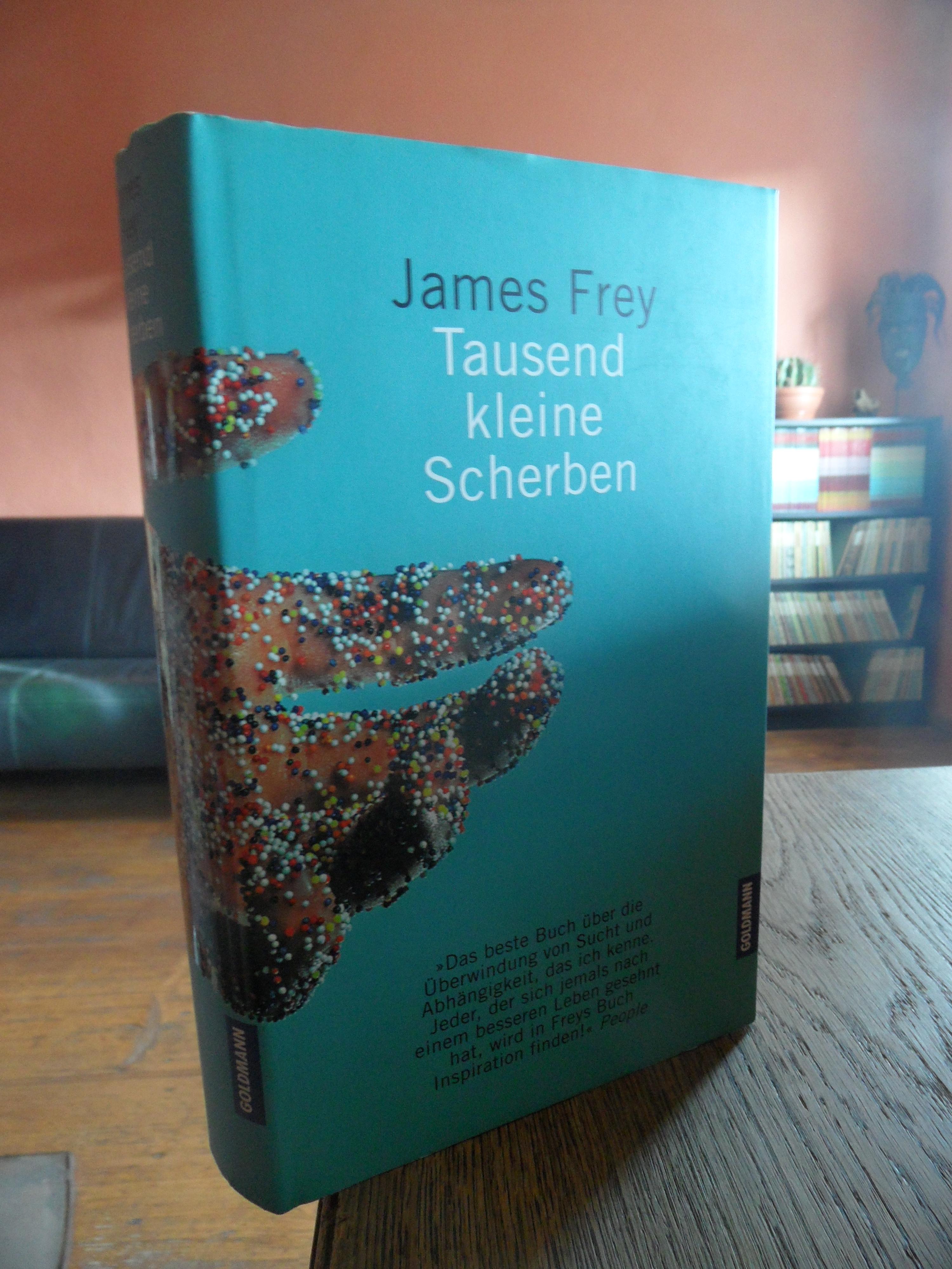 Tausend kleine Scherben. Deutsch von Henning Ahrens. by Frey, James