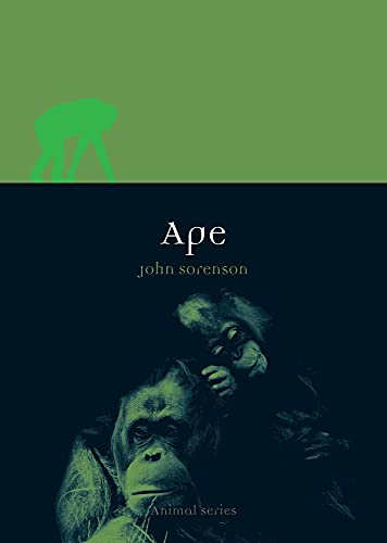 Ape (Animal) - Sorenson, John