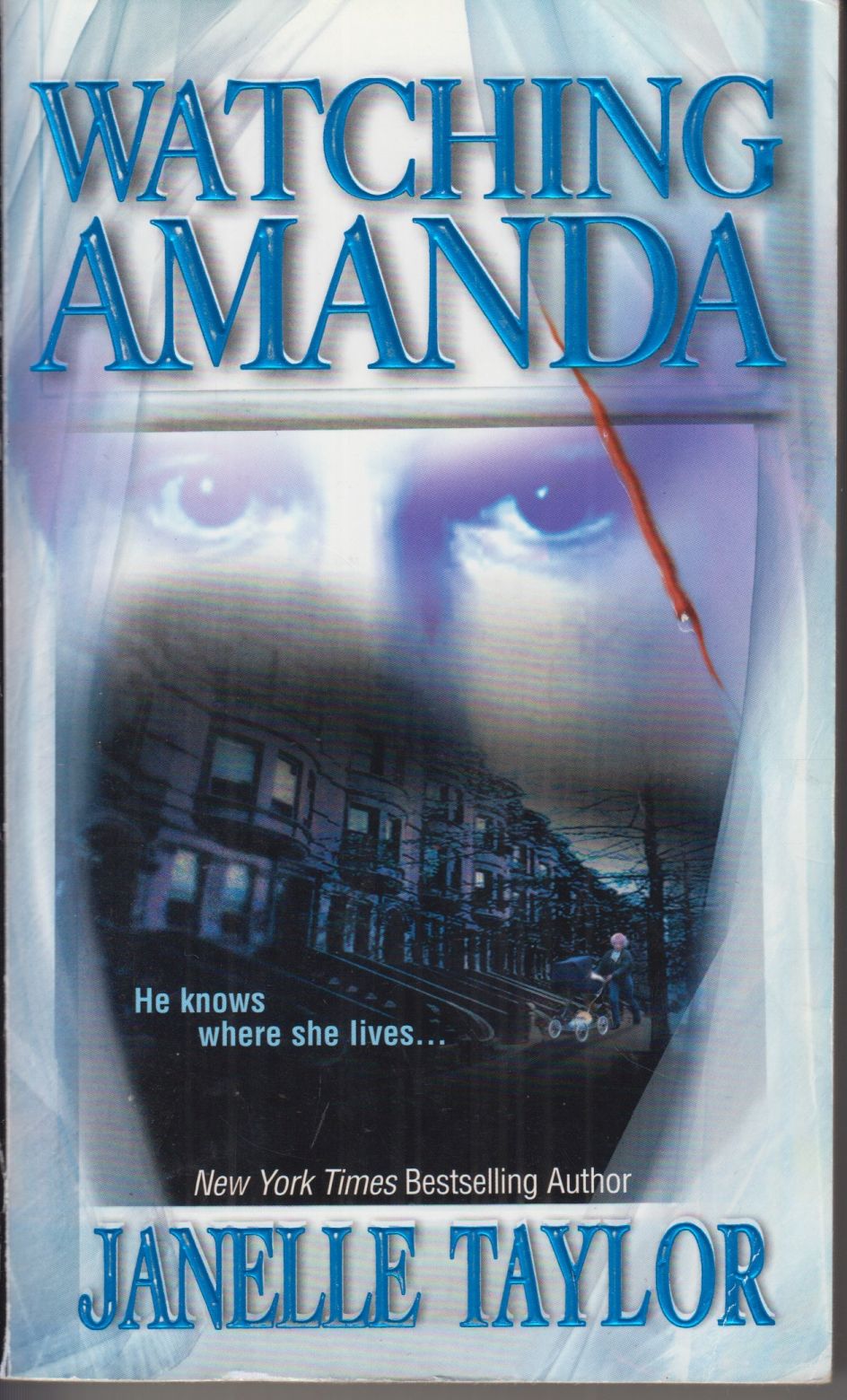 Watching Amanda, Volume 1 (Sedgwick Sisters) - Taylor, Janelle (Author)