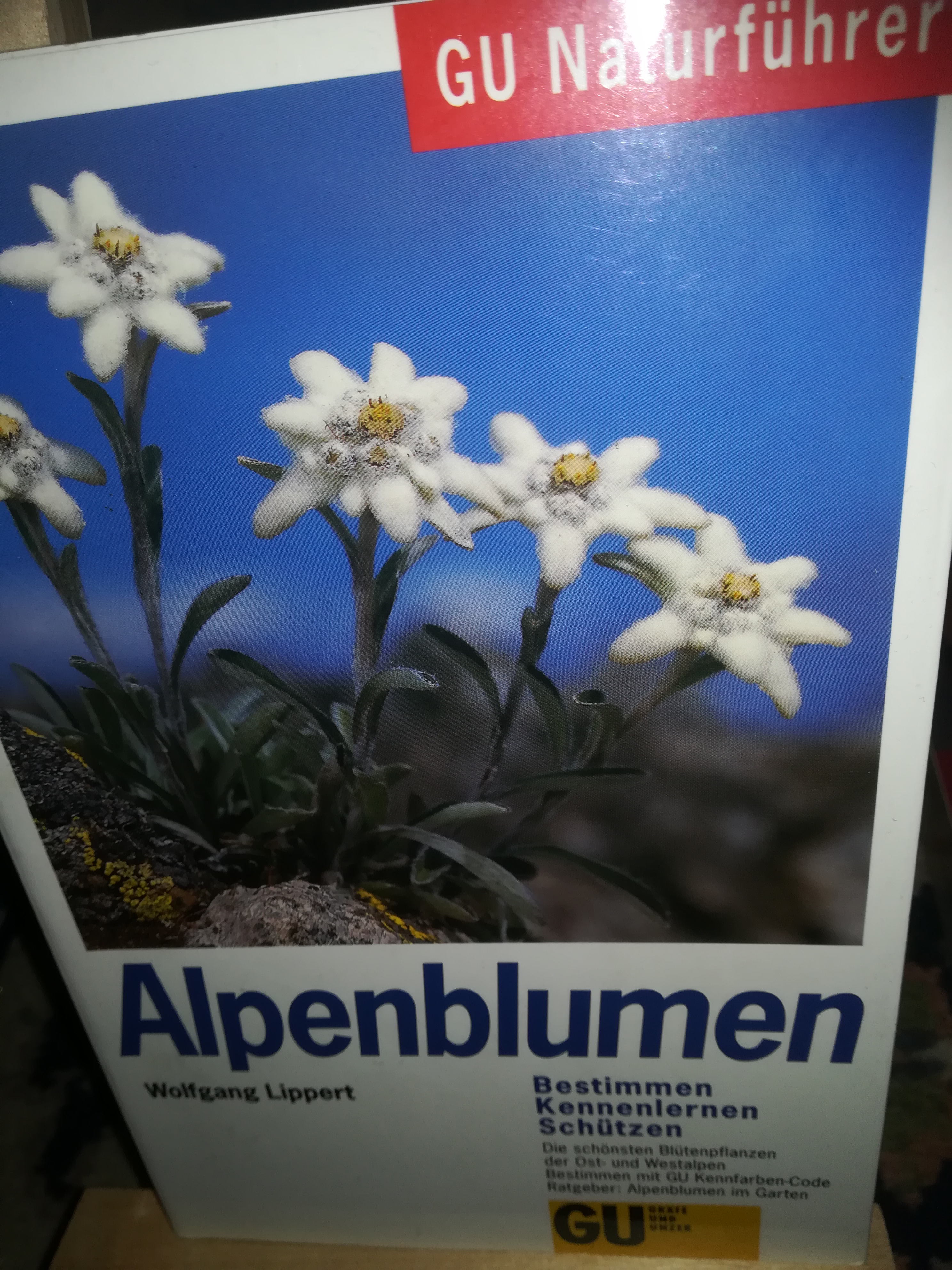 Alpenblumen, bestimmen, kennenlernen, schützen - Lippert Wolfgang