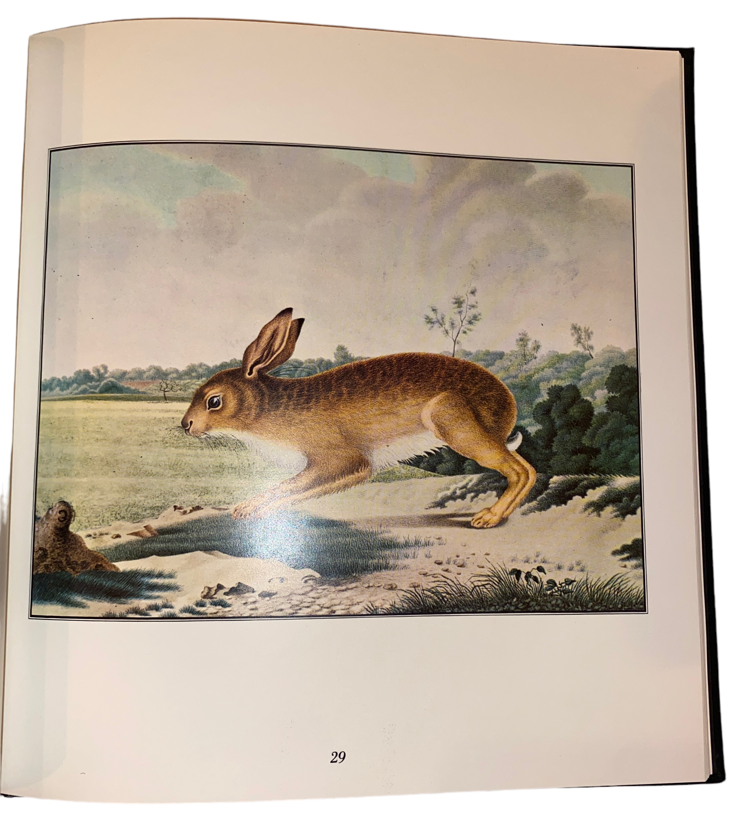 Il bestiario di Aloys Zotl (1831 - 1887). Introduzione di