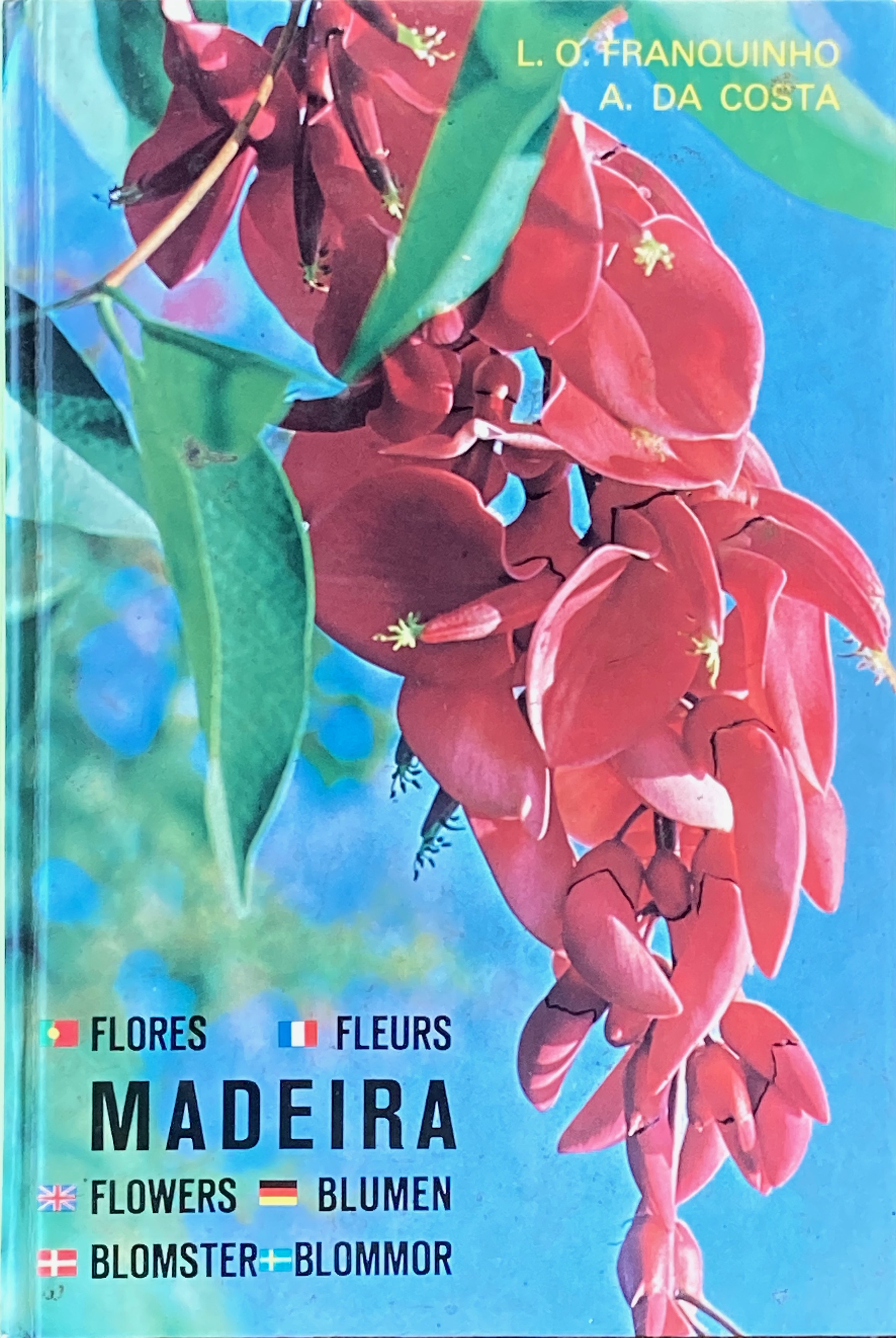 Plantas e flores Madeira - Franquinho, L. de O.