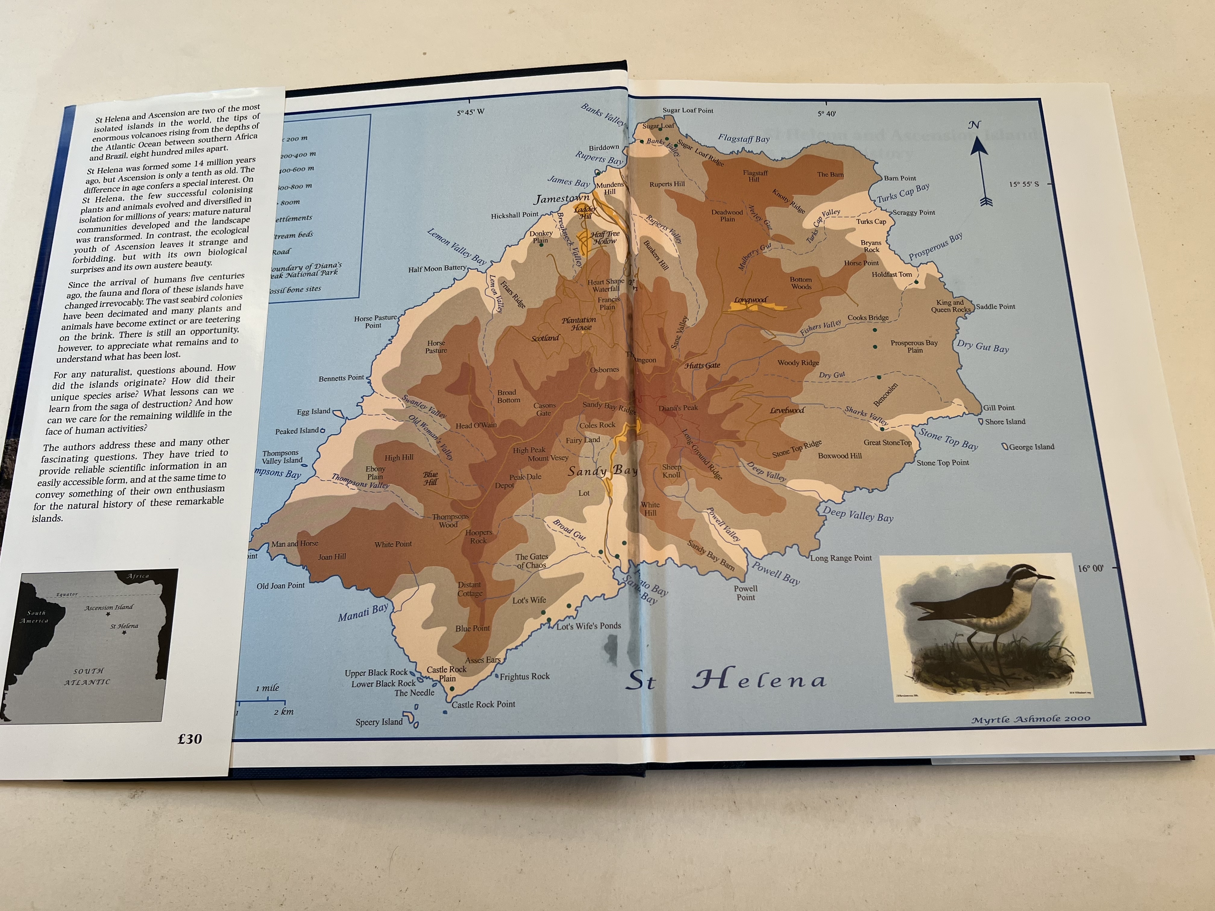 St Helena and Ascension Island a natural history - Philip andMyrtle Ashmole