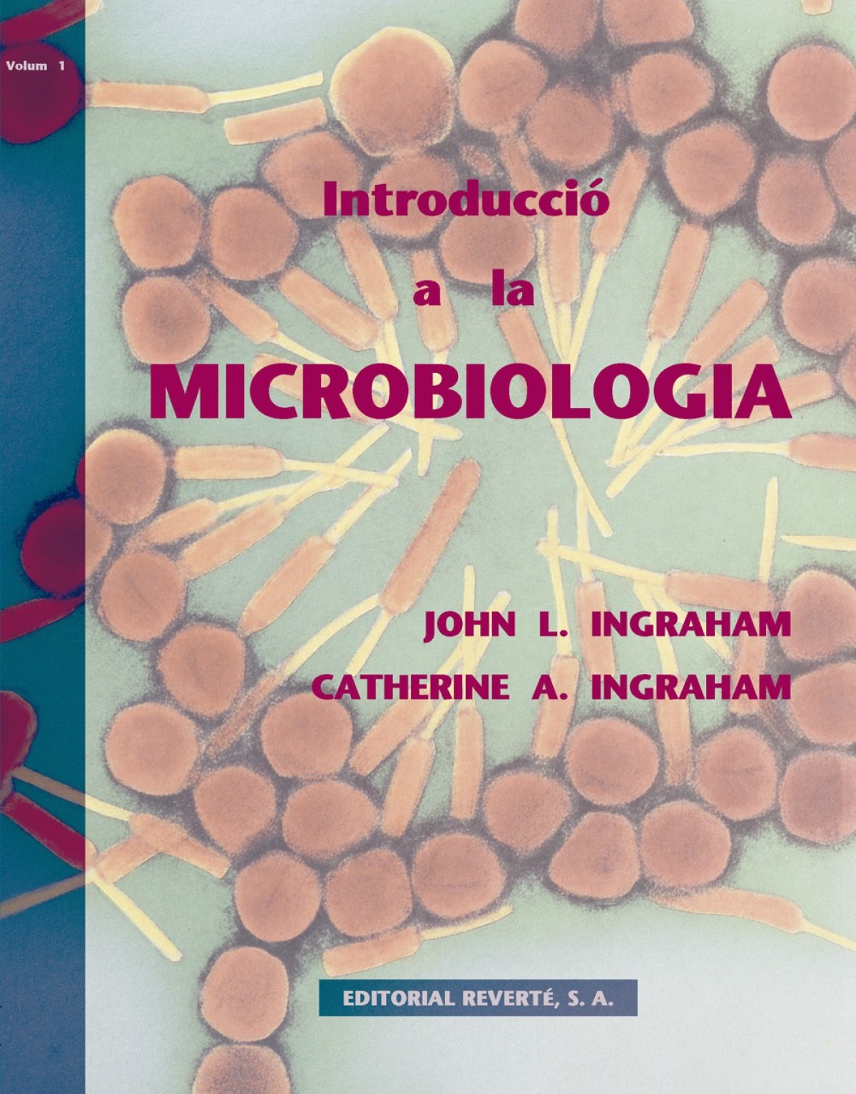 Introducci¢n a la microbiologa - Ingraham, John/Ingraham, Catherine