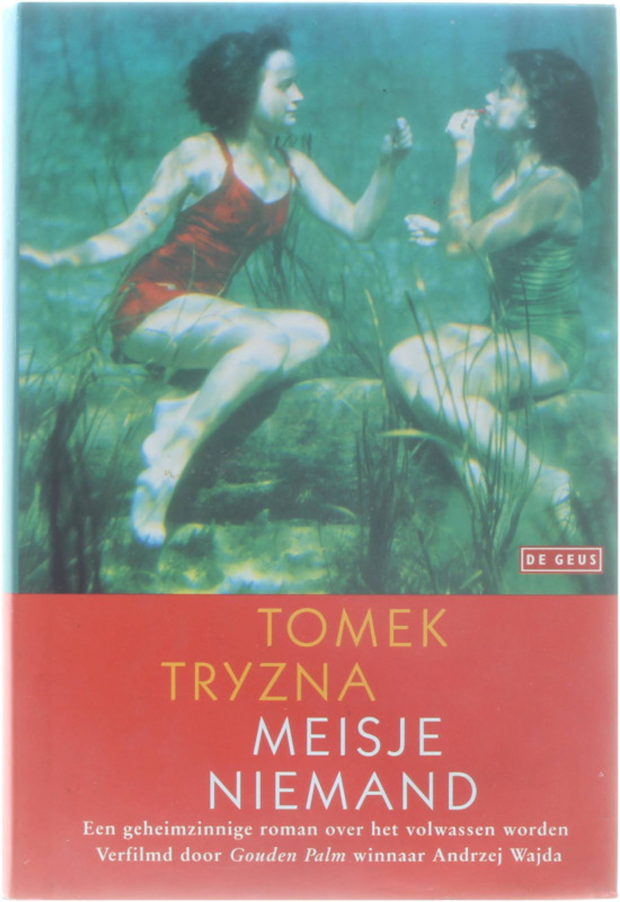 Meisje Niemand - een geheimzinnige roman over het volwassen worden - Tomek Tryzna