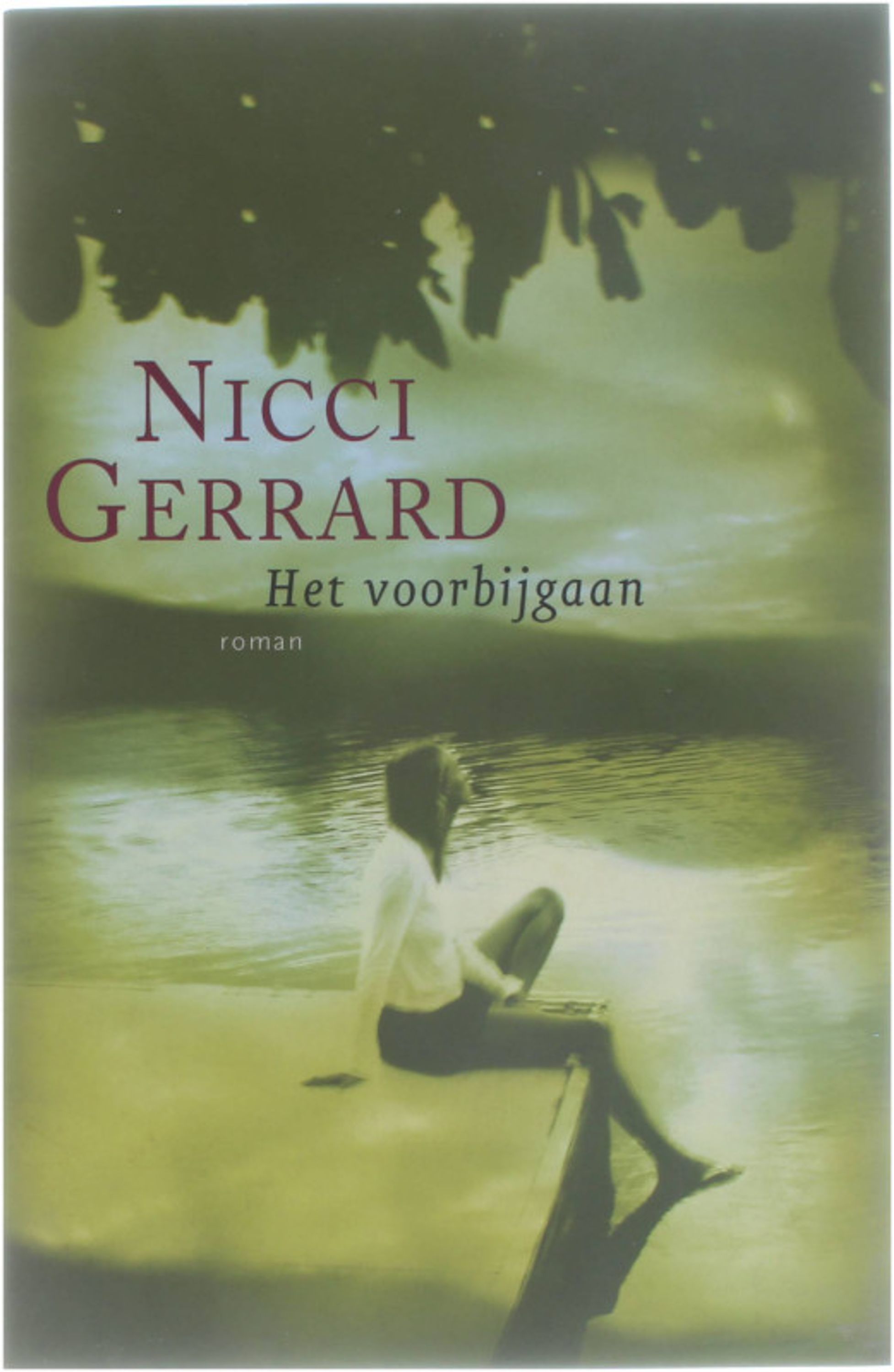 Het voorbijgaan - Nicci Gerrard